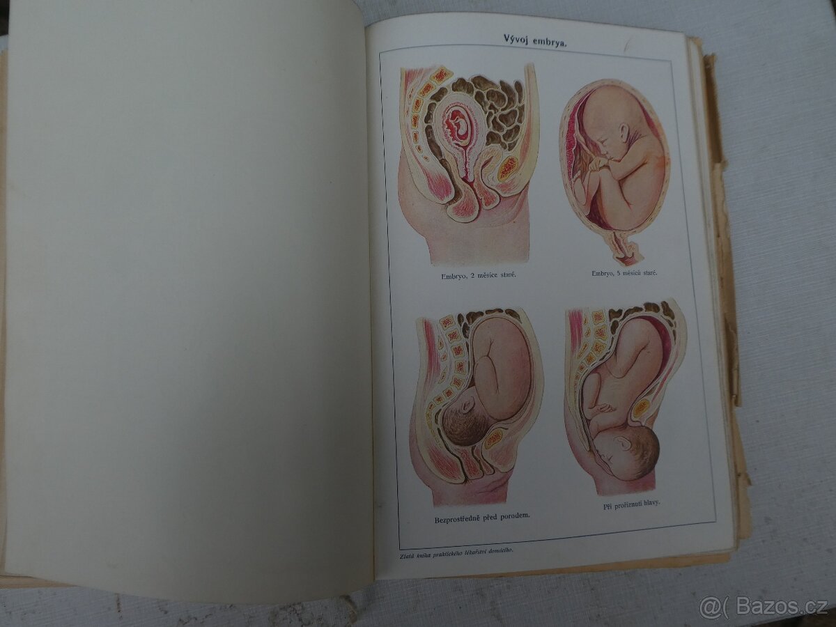 Stará lékařská kniha - 4