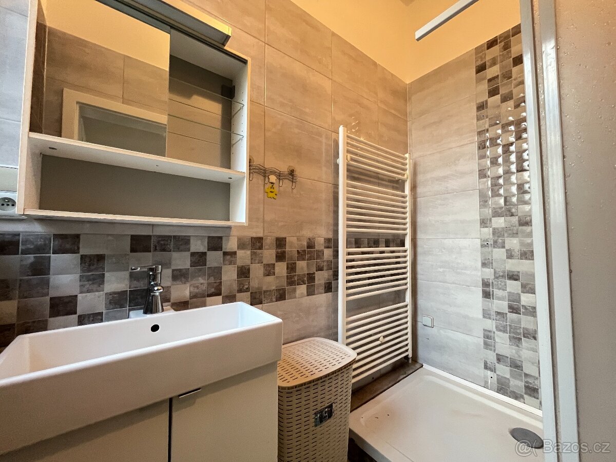 Prodej bytu 1+1, 47m², ulice Sokolovská, Opava - 4