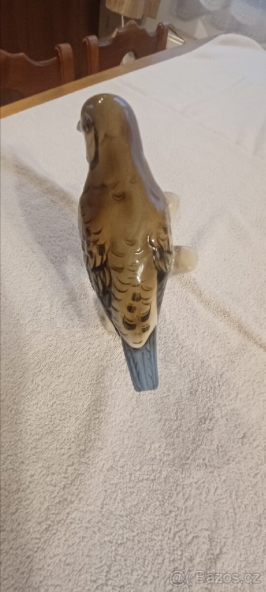 Porcelánová poštolka pestrá - 4