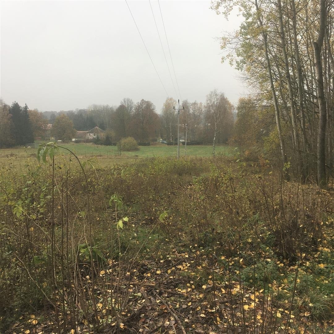 Prodej ostatní pozemky, 5 142 m² - Cvikov - Lindava - 4