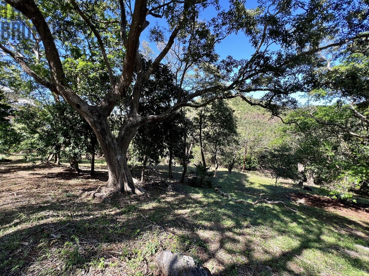 LOT 9 Bodden Bight Estate, Roatan - 4