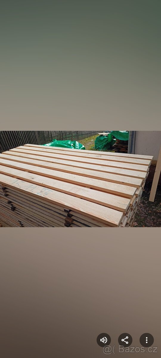 Borovice prkna - 4