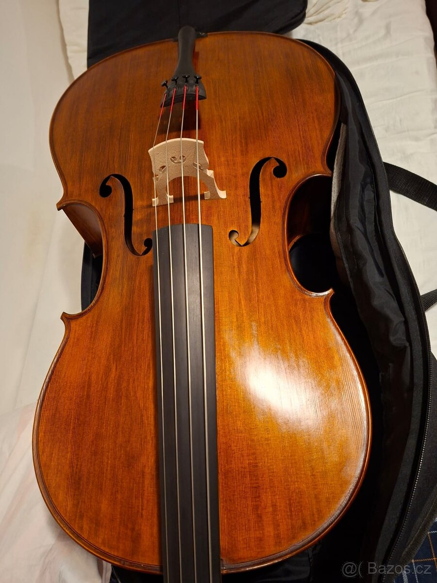 Violoncello 4/4 - 4