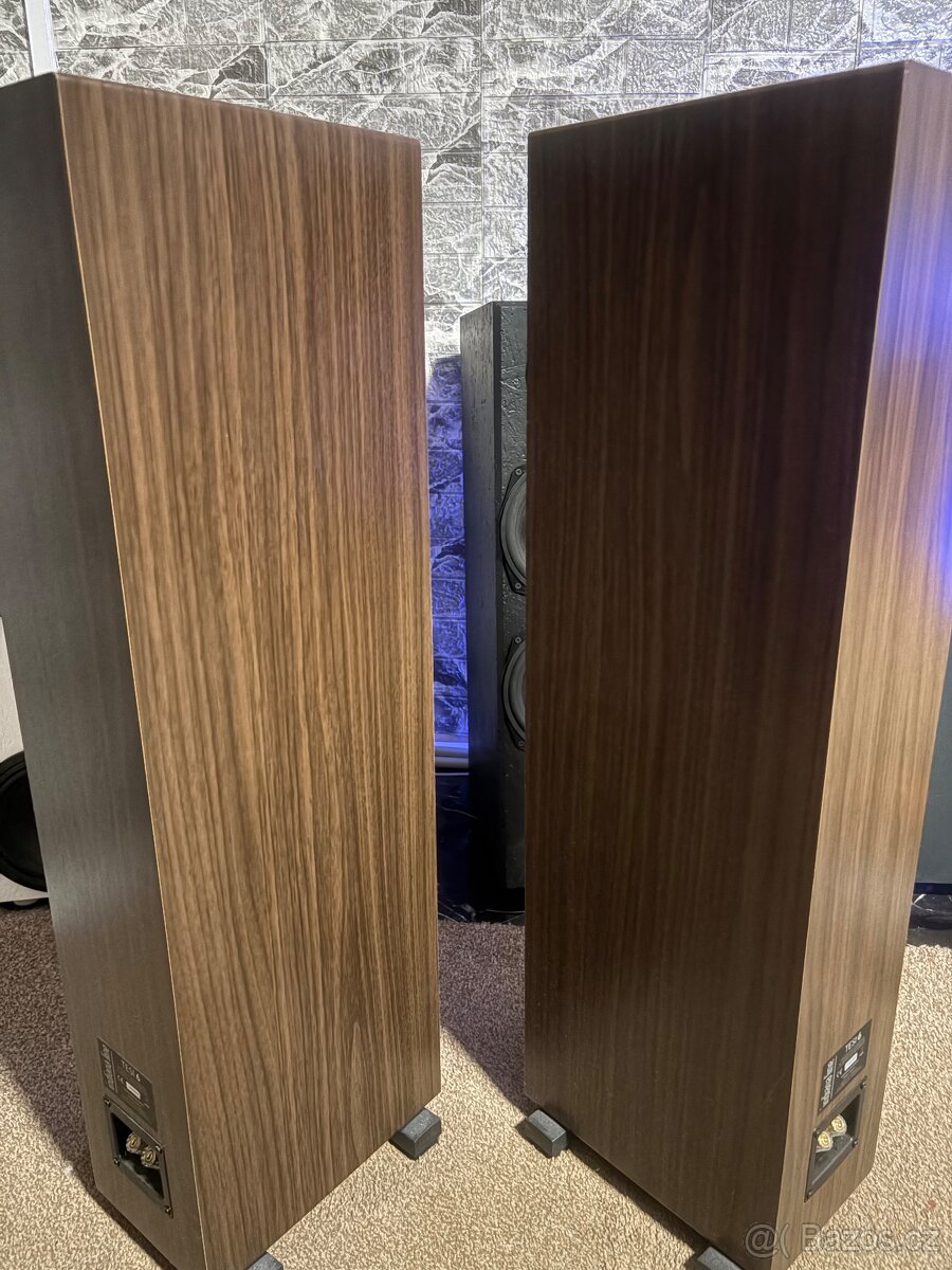 Indiana Line Tesi 6 - 4