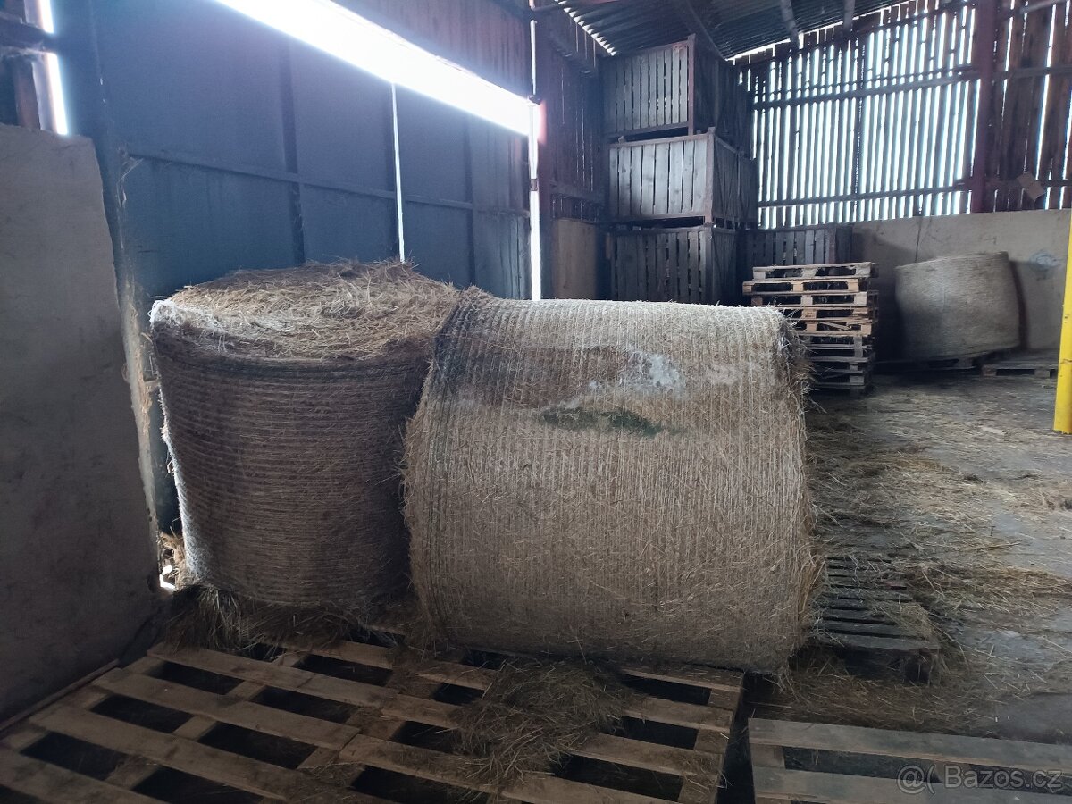 Seno kulaté balíky - 4