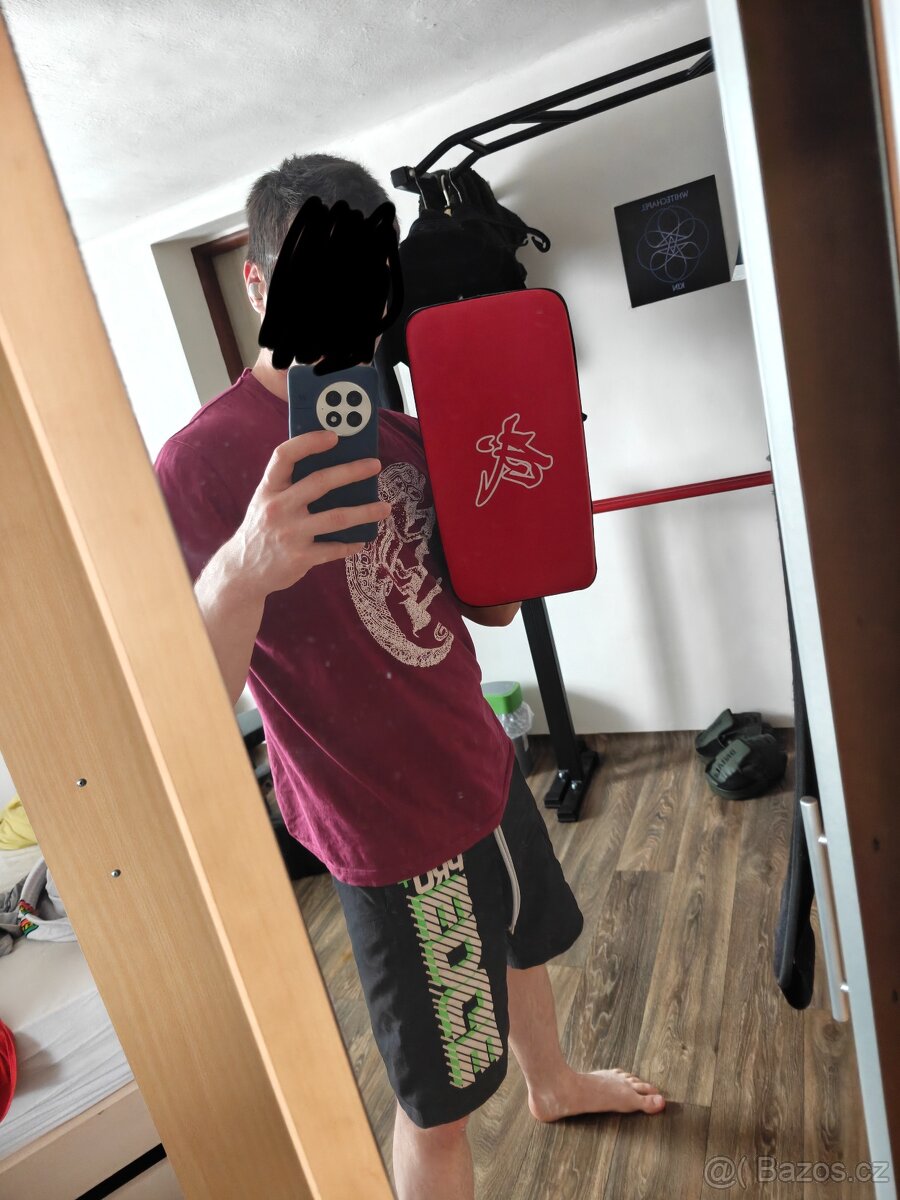 Boxing laps/kicking pads - 4