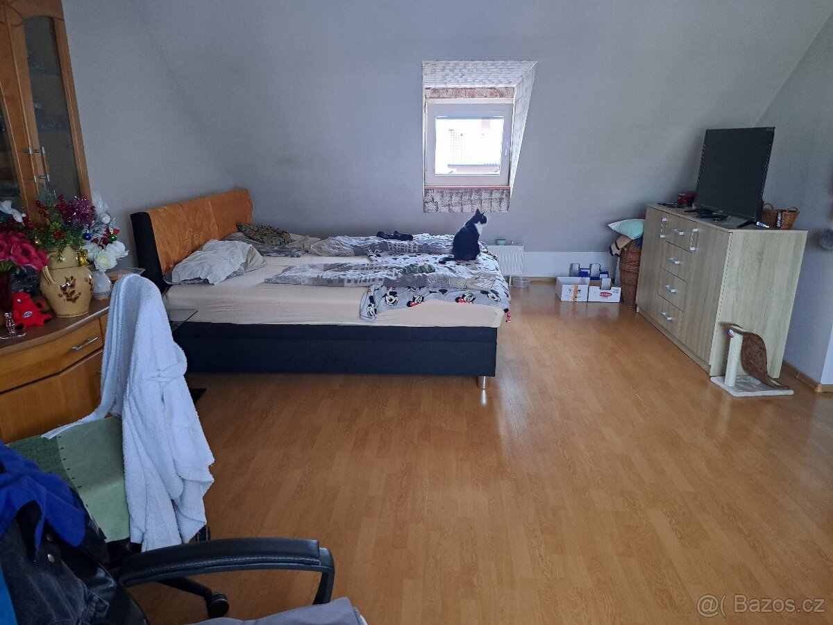 Prodej bytu 2 kk Šestajovice - 4