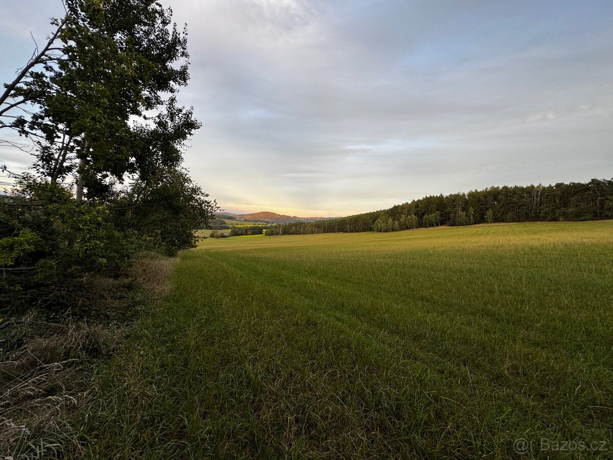 Prodej lesa 880m2 Radkovice - 4