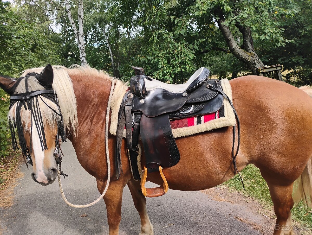 Western na široké koně - 4