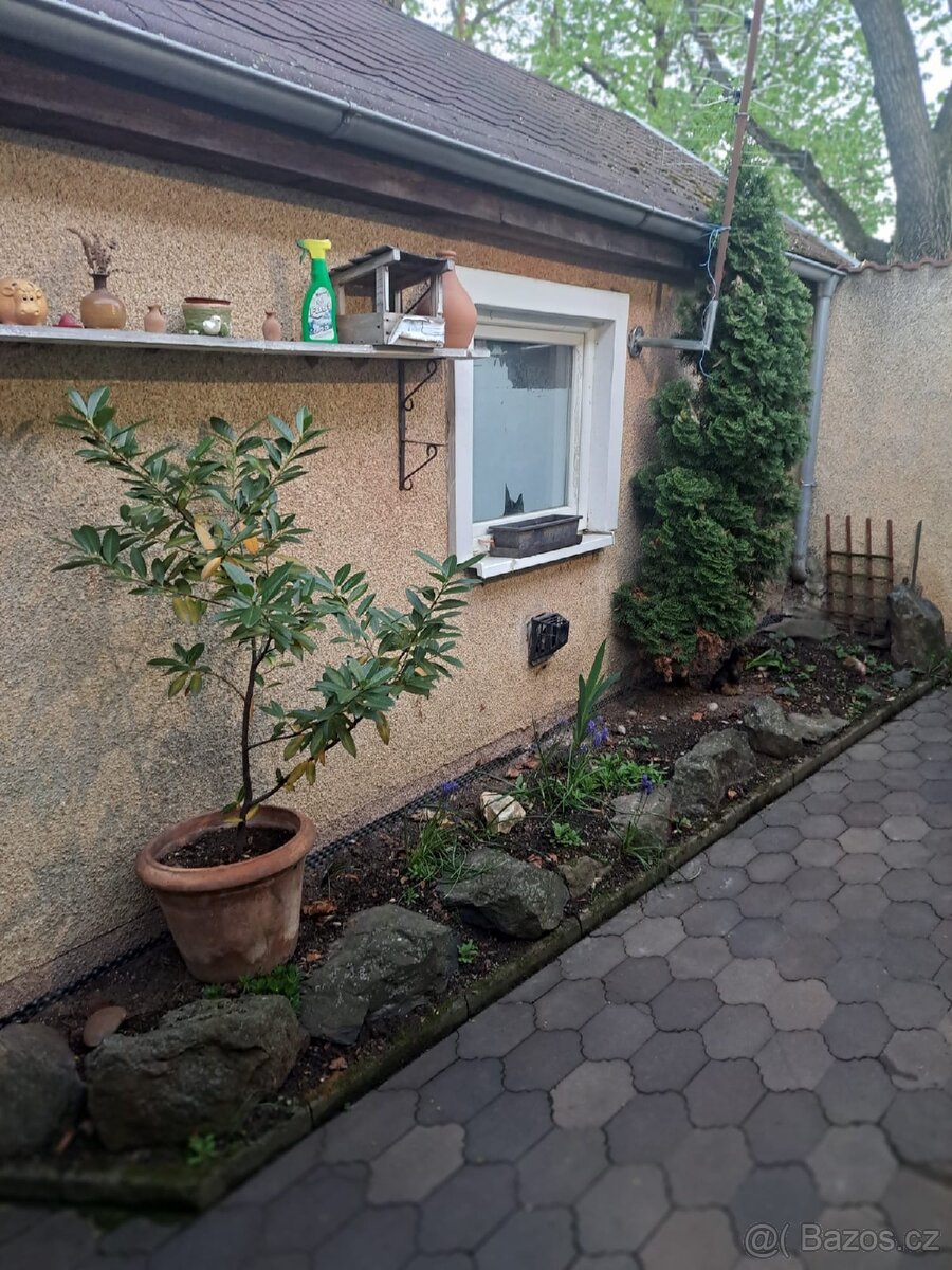 Pronajem pristavku - 4