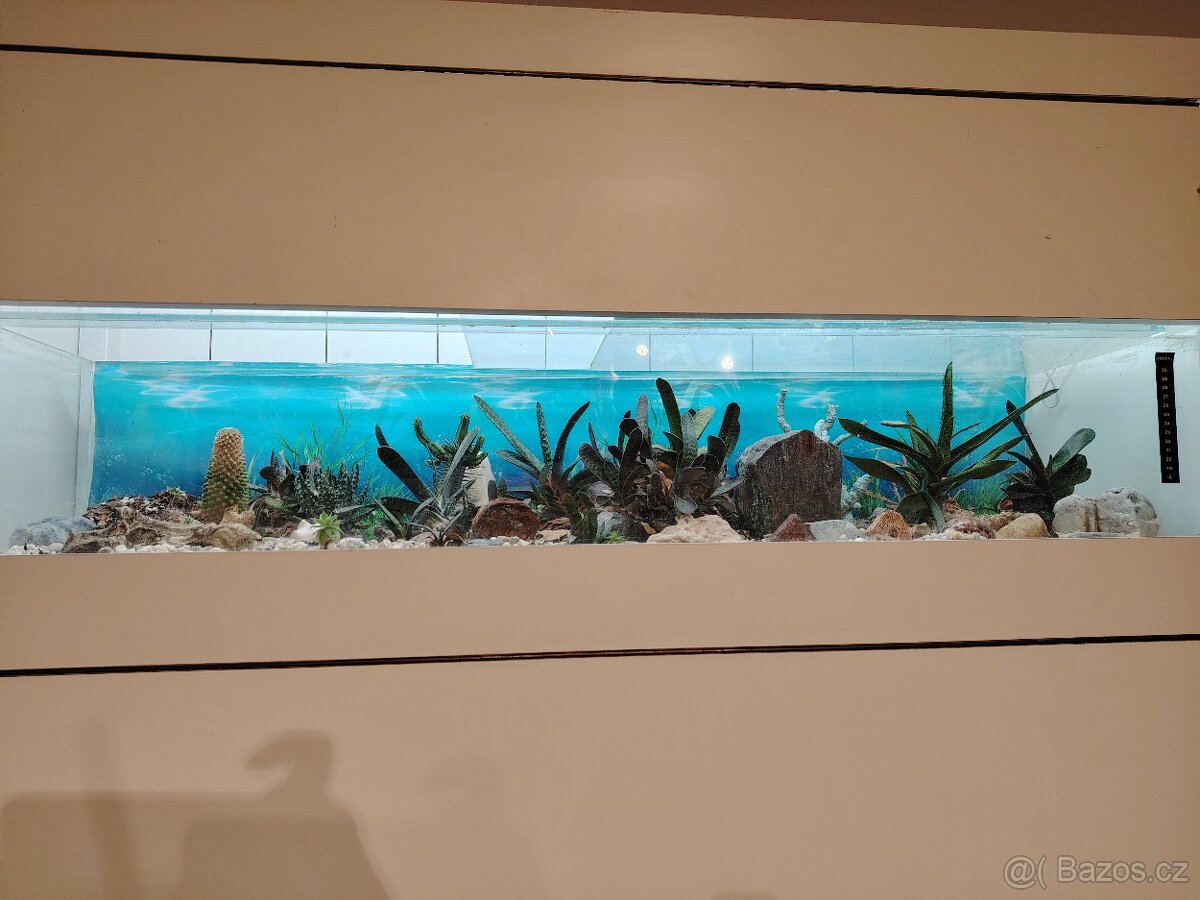Prodám set akvarii - 4