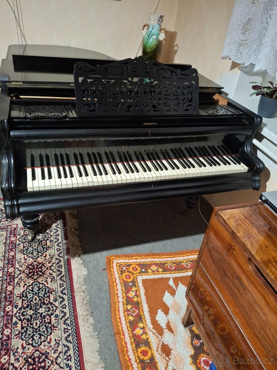 křídlo Bělohlávek - 4