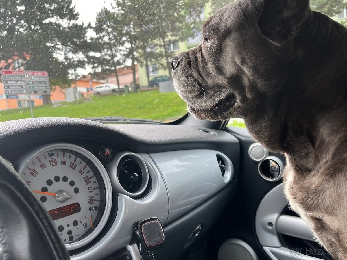 Mini R52 cabrio - 4