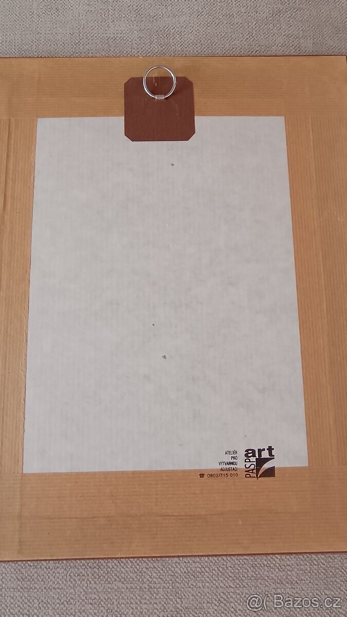 Šlapáková Alena obraz - 4