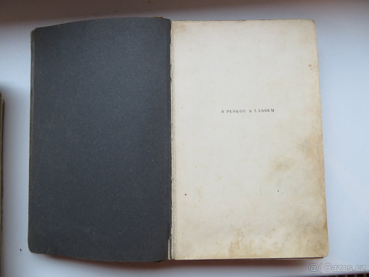 DOBRODRUŽNÉ,KAMARÁD ZE SLUN.KAŇONU 1935, il.BURIAN - 4