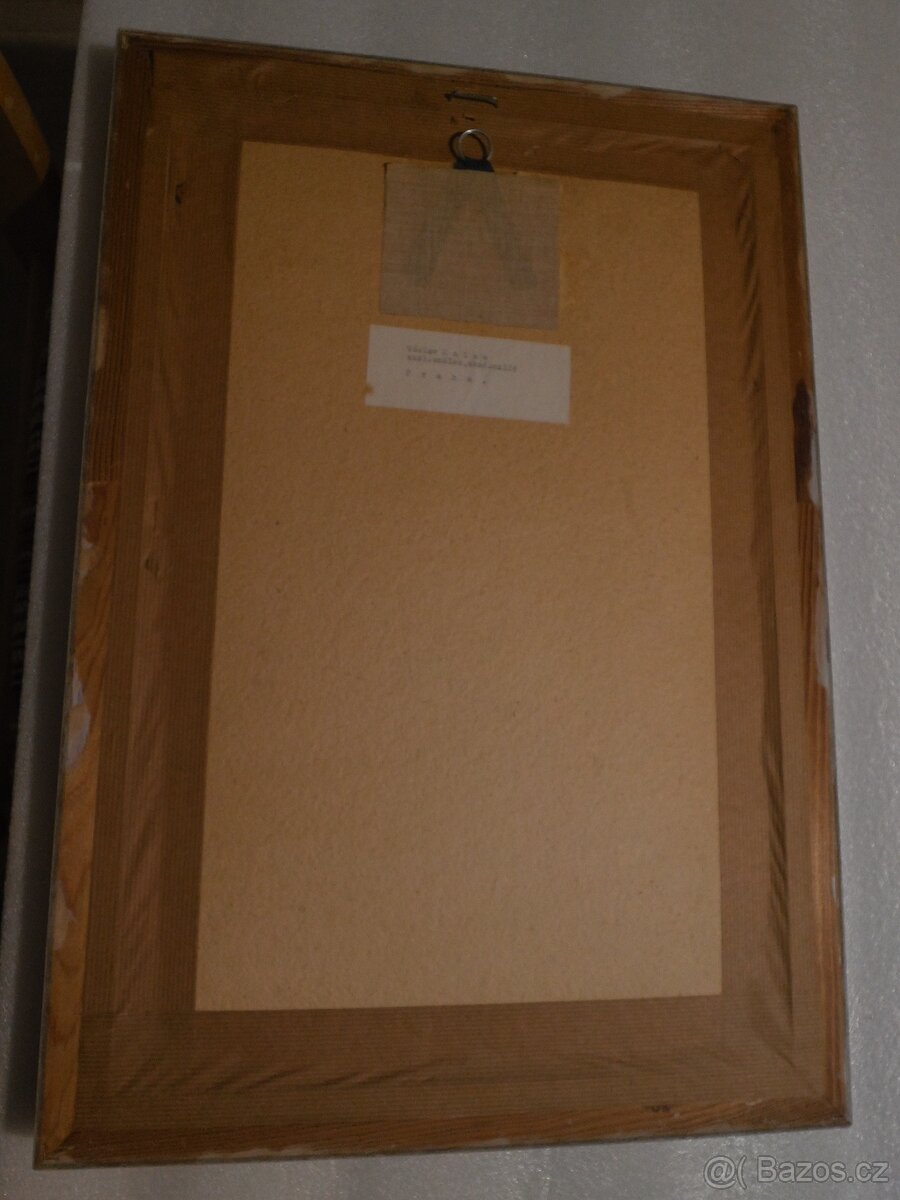 Obraz květinové zátiší V. Haise + další obraz - 4