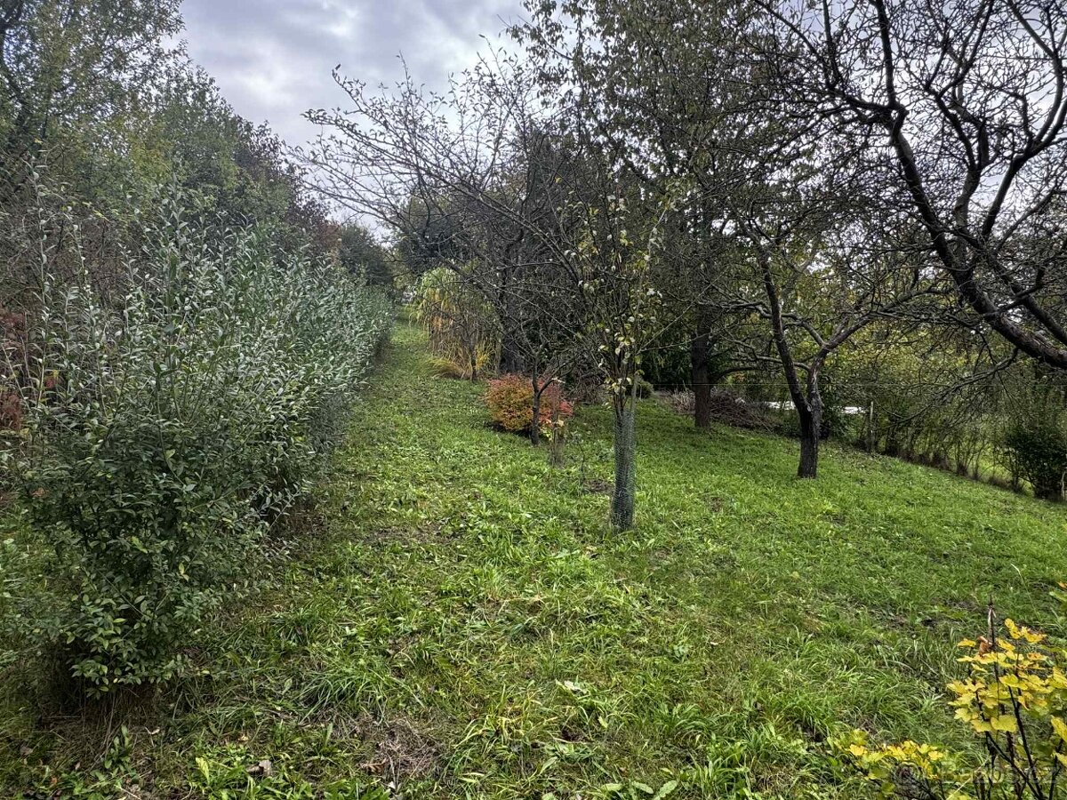 🌿 Prodej zahrady-sadu 1 872 m² – Soběchleby, okres Přerov - 4