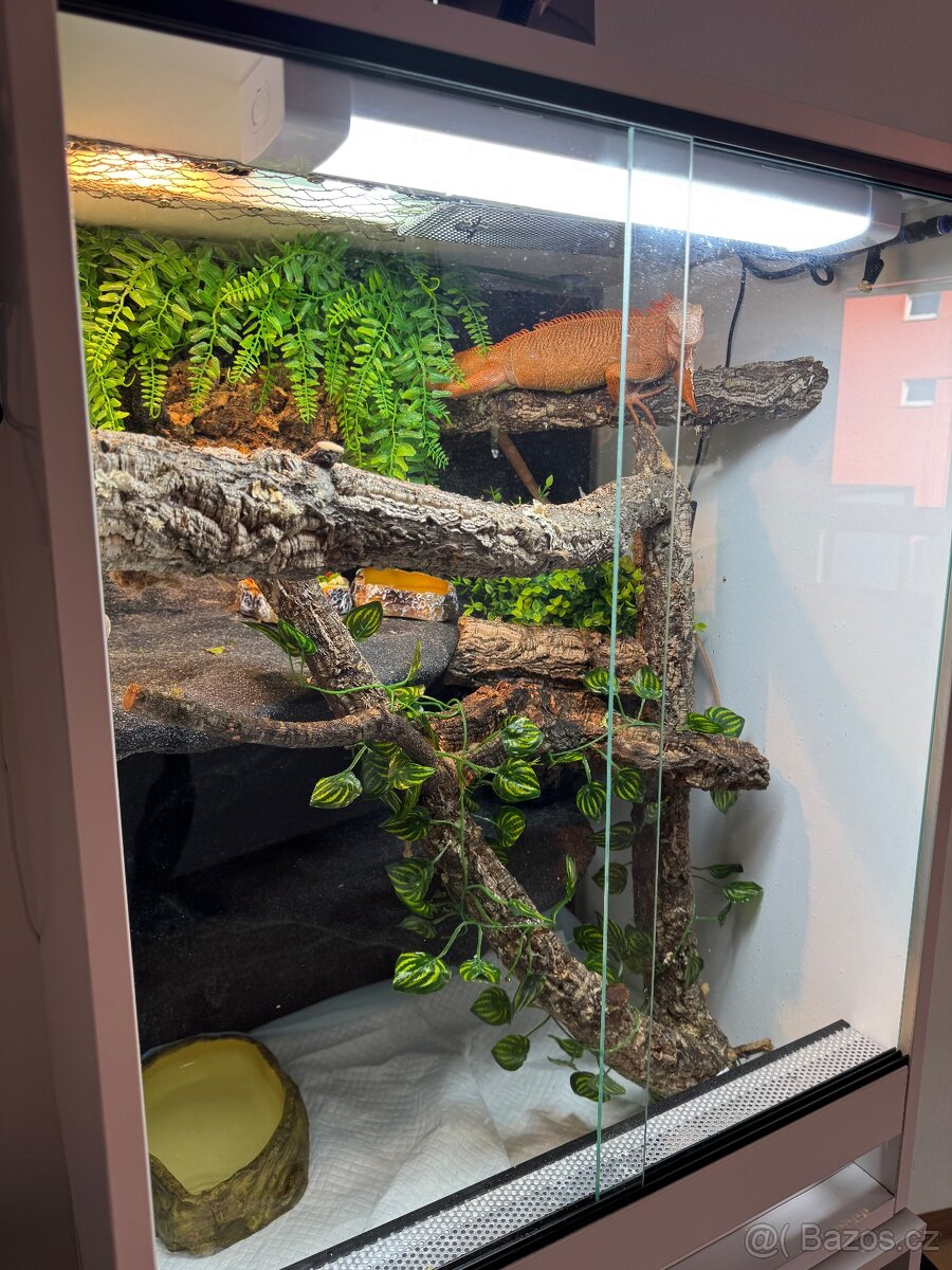 Terarium 80x50x60 - 4