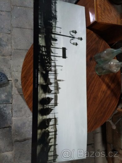Reprodukce, fotografie - 4