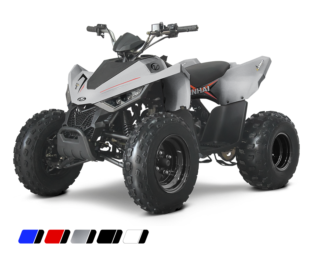 dětská čtyřkolka Linhai ATV 110 2x4