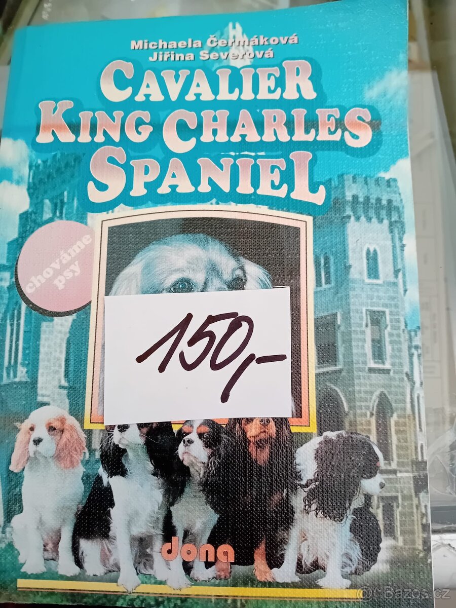 Špicové Stafordšírský bulteriér Kokršpaněl, kavalír King Cha - 4