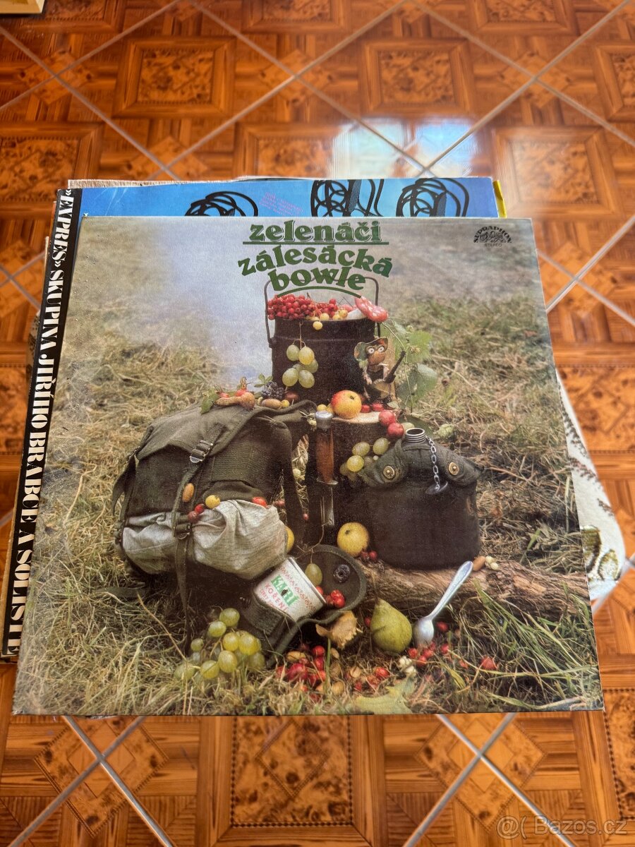 prodám gramofonové desky - 4