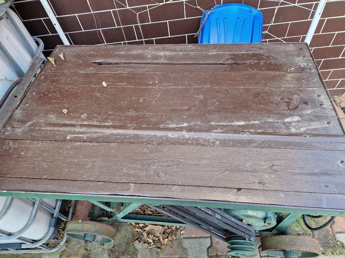 Cirkulárka velká - 4