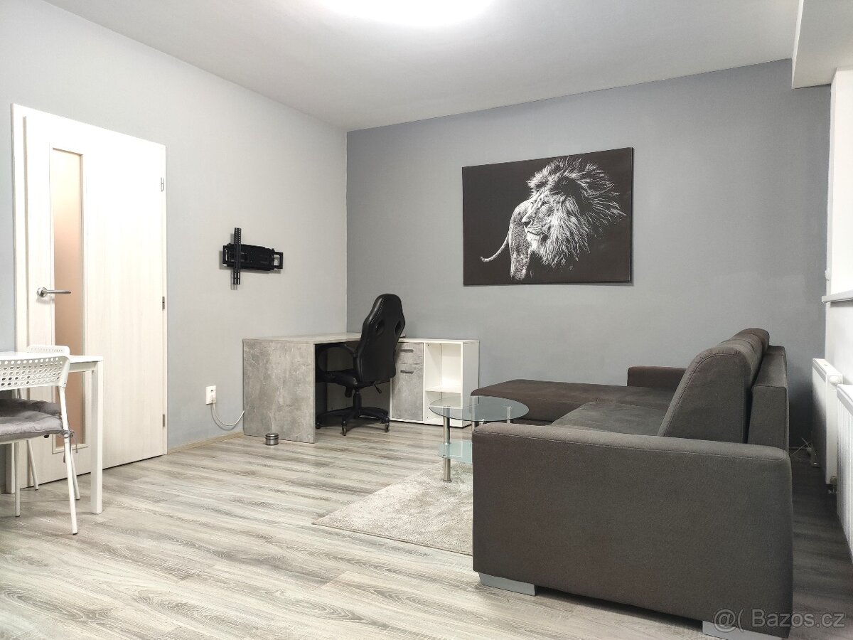 Nadstandardní zařízený byt 1+kk s balkonem v centru Brna - 4