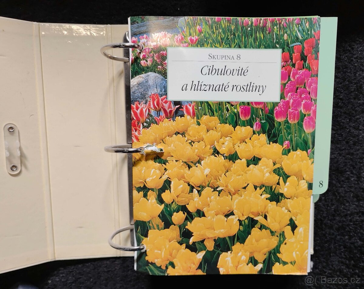 Zahrada pro radost - karty v pořadači - 4