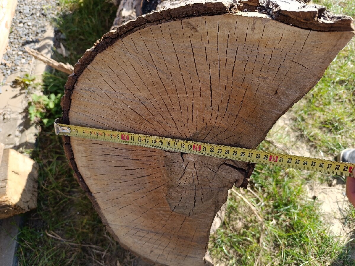 Prodám kmen čas kořene ořechů - 4