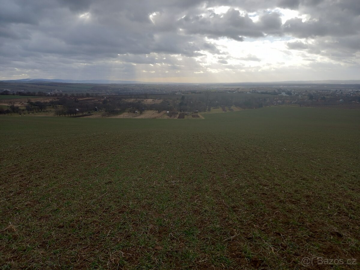 Pozemek na vinohrad, sad - Mařatice (Uherské Hradiště) - 4