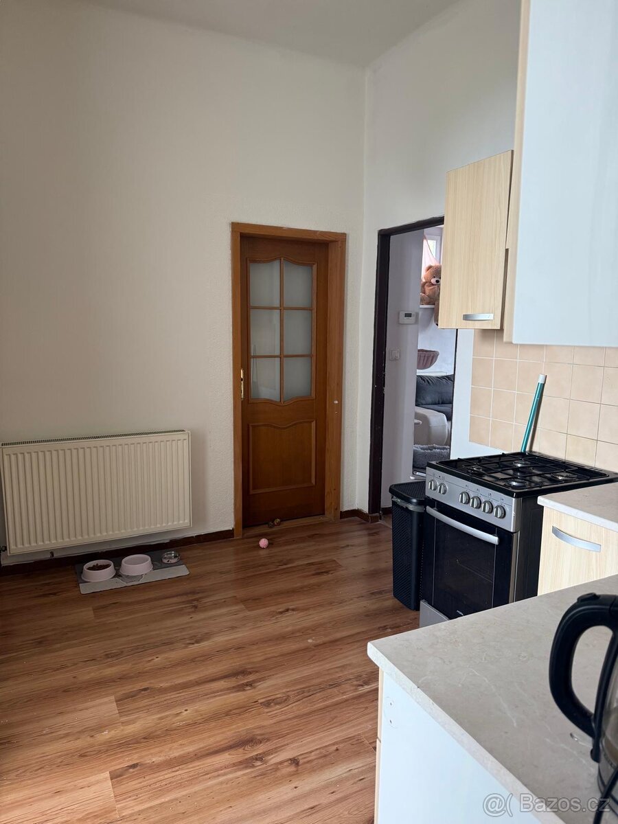 Pronájem bytu 2+1 ve Varnsdorfu - 4