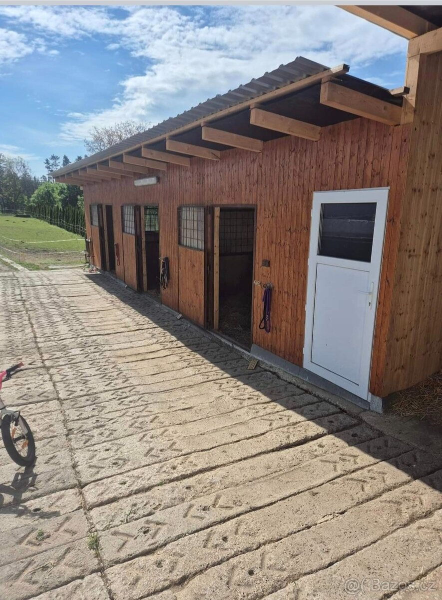 Boxove ustájení - 4