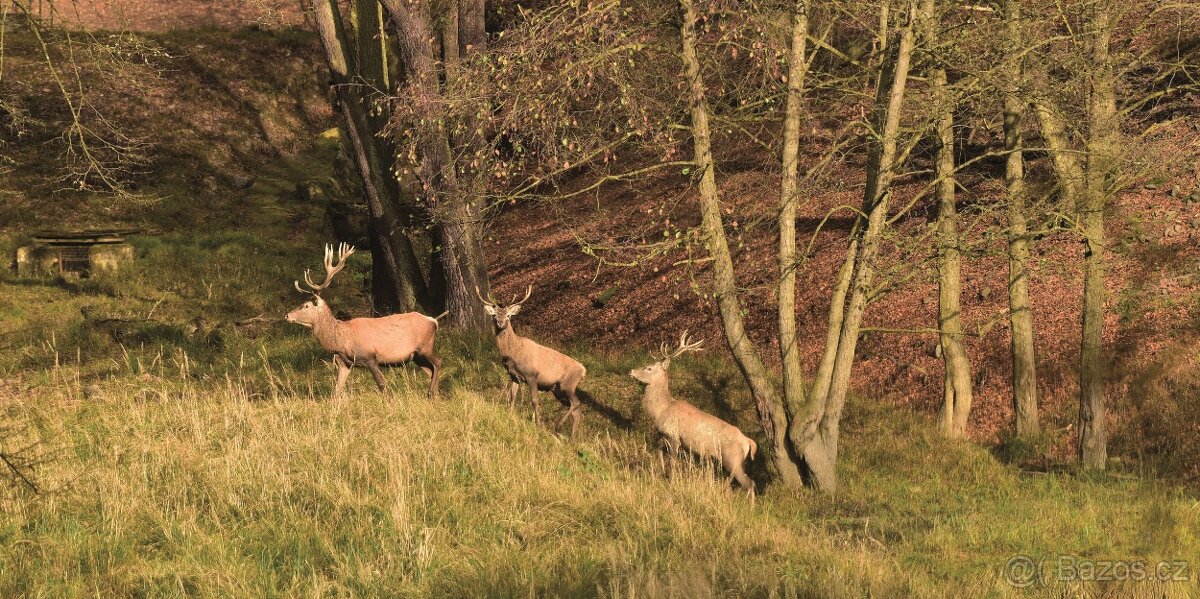 LÁNSKÁ OBORA V PROMĚNÁCH ČASU - 4