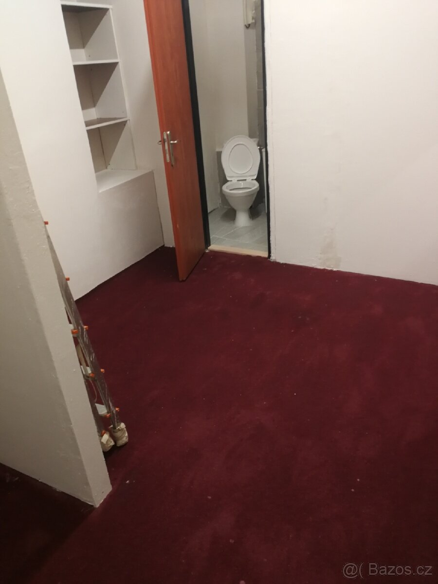 Nebytový prostor, byt. 40 metrů čtverečních - 4