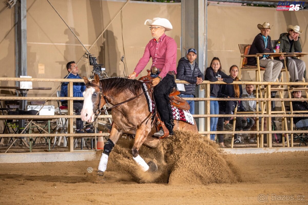 Qh na prodej - 4