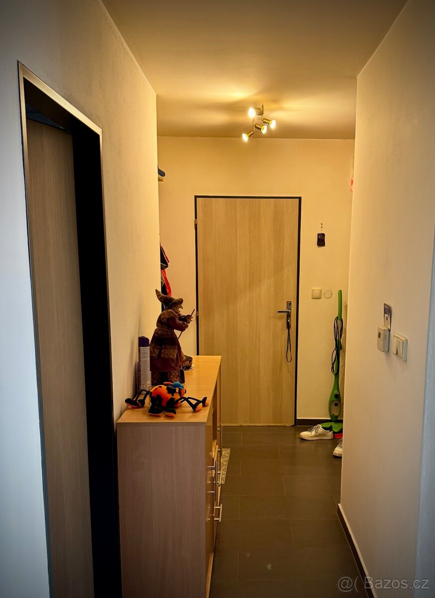 Pronájem hezkého bytu 1kk (možnost 1+1) v Liberci, Pavlovice - 4