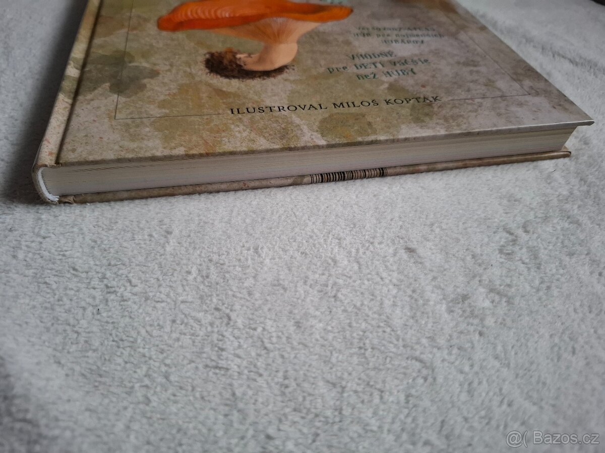 Houbeles pictus - Petr Maděra - 4