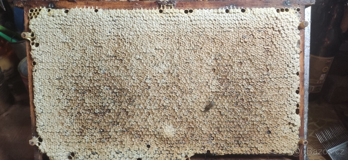 Kvalitní včelí oddělky 39x24, 2026 - 4