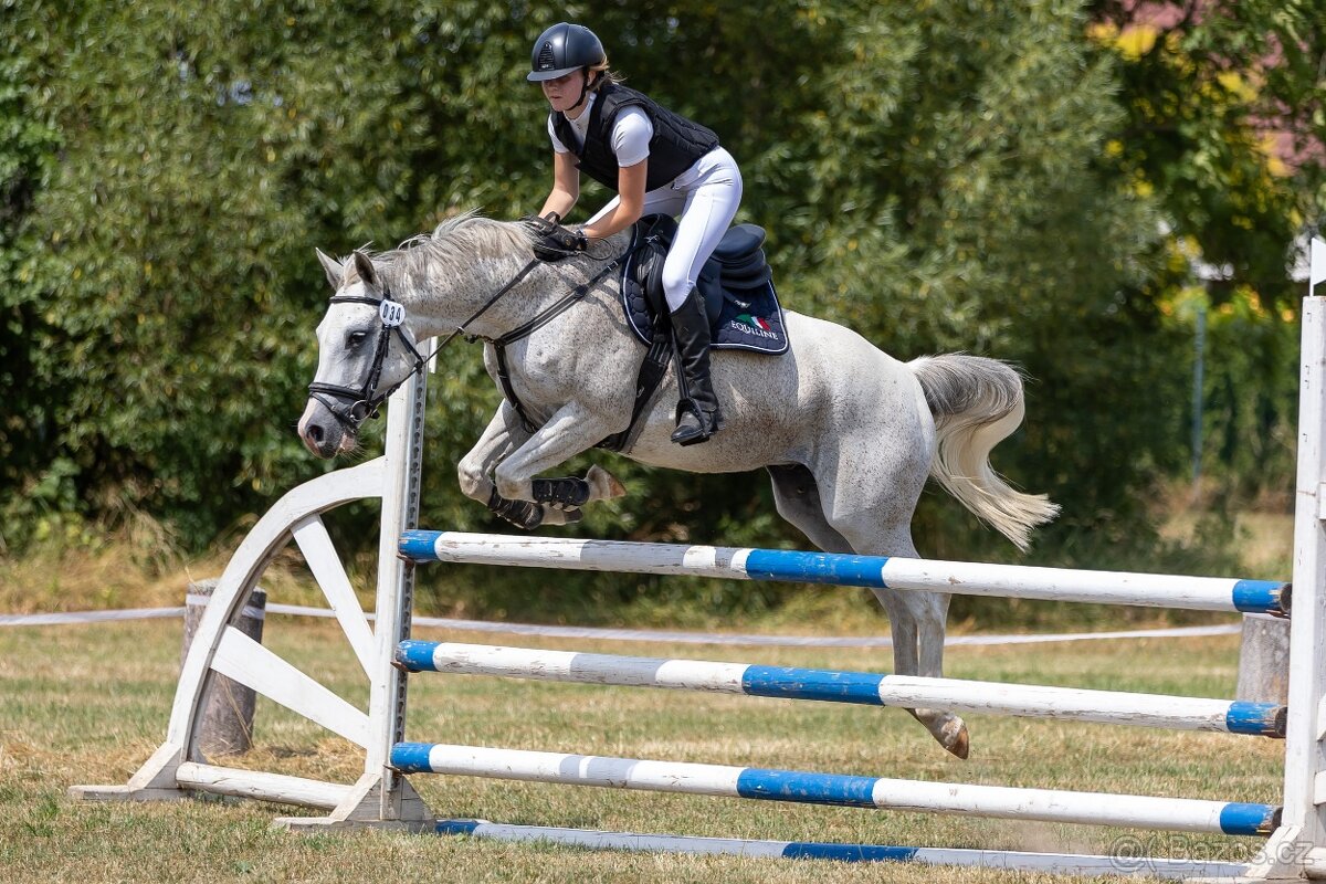 PONY TYP B NA PRODEJ - 4