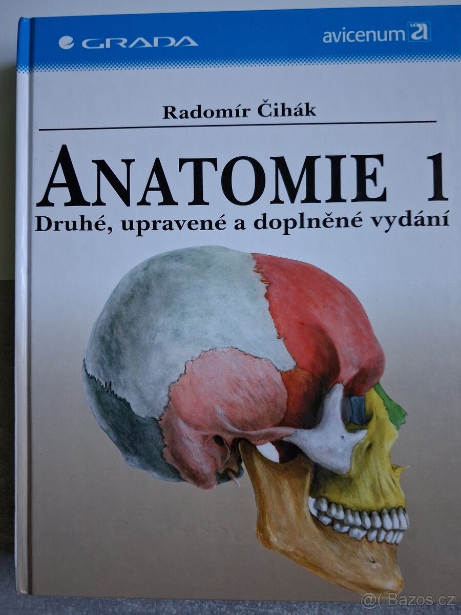 Anatomie - 4