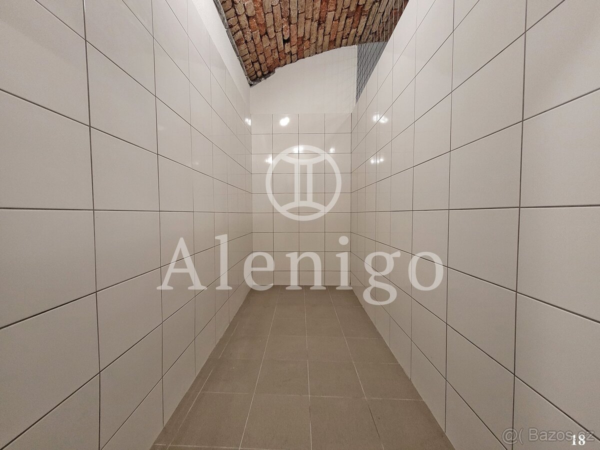 Prodej nebytových prostor 3,9 m², ul. U Rajské zahrady, Prah - 4