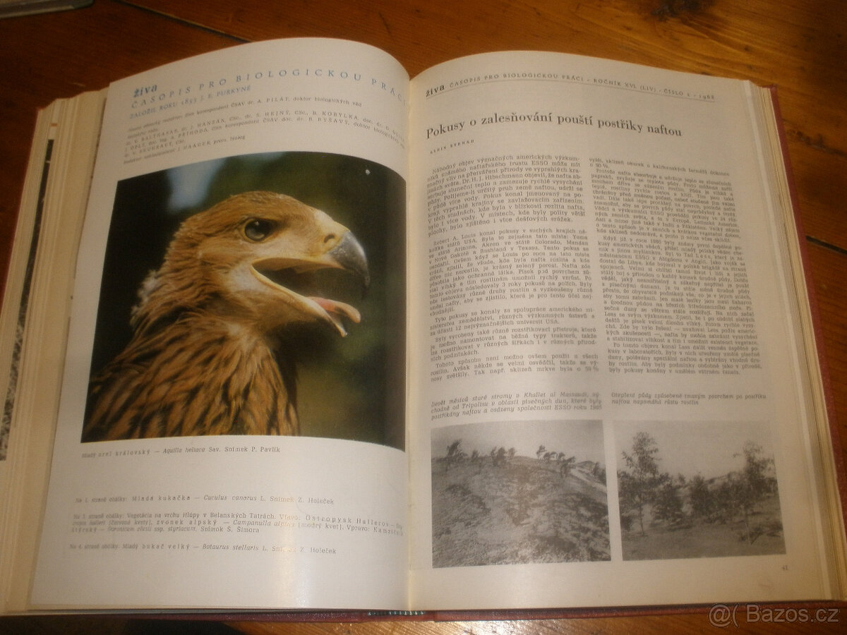 Myslivost ,svázaný ročník 1968 - 4