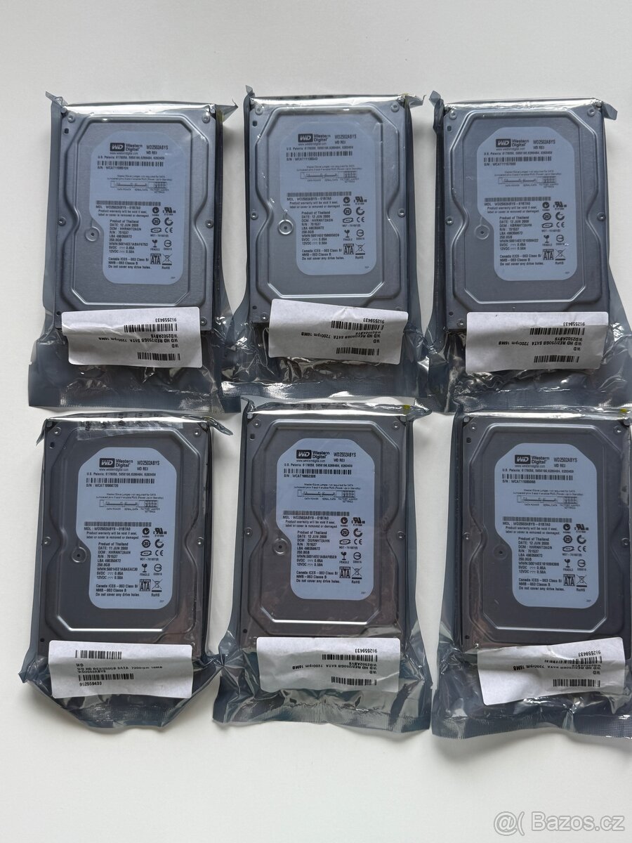 Nový Pevný disk WD HD RE2/250Gb SATA - 4