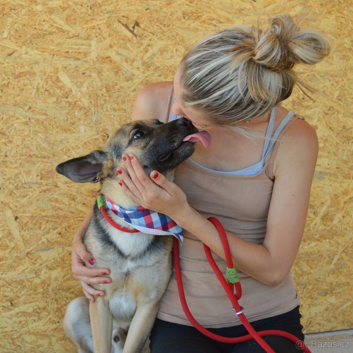 Norton hledá domov - 4