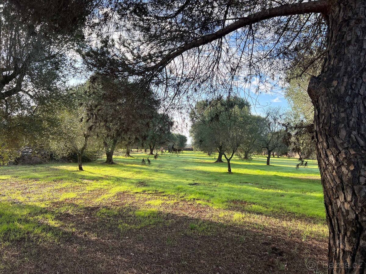 Pozemek u moře na jihu Itálie - 4