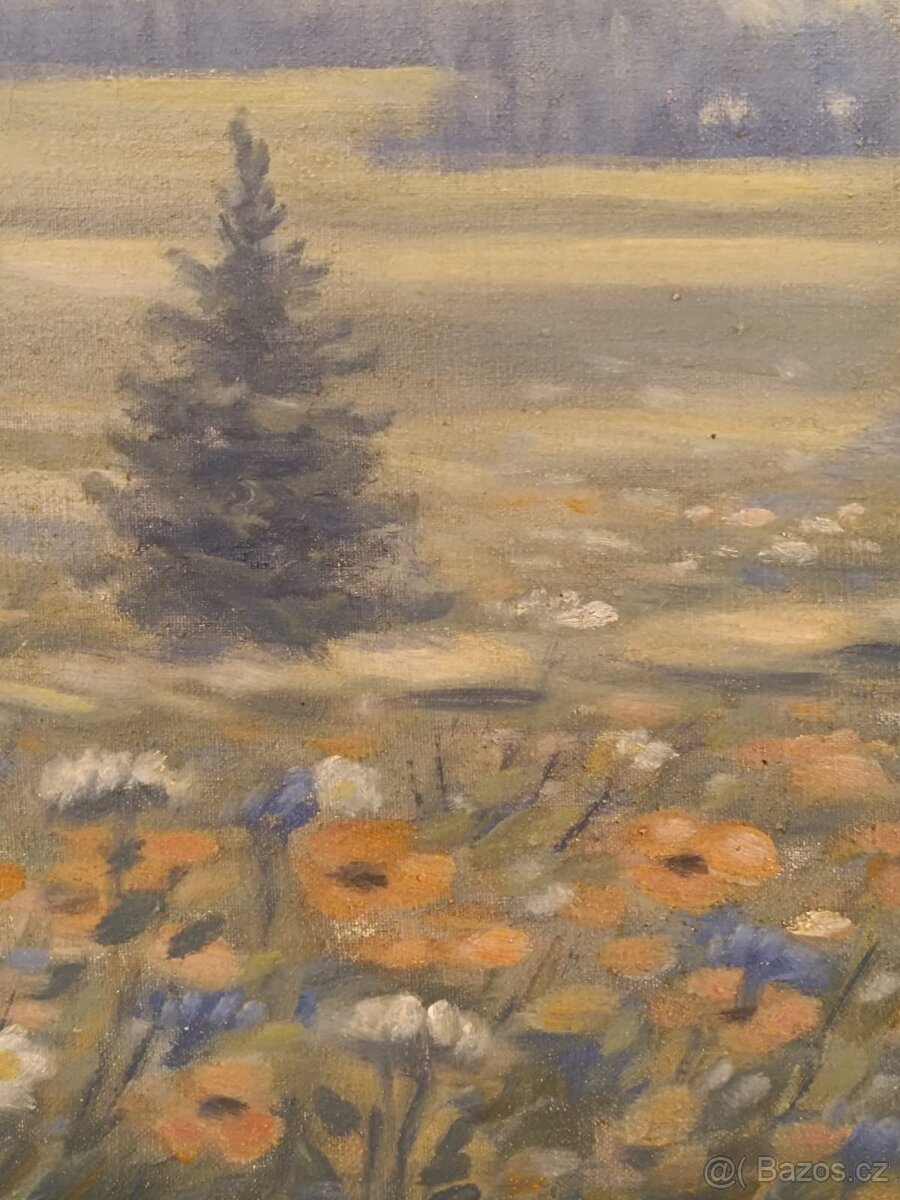 Obraz 1914 Sosny s mákem, olej na plátně 68x56 - 4