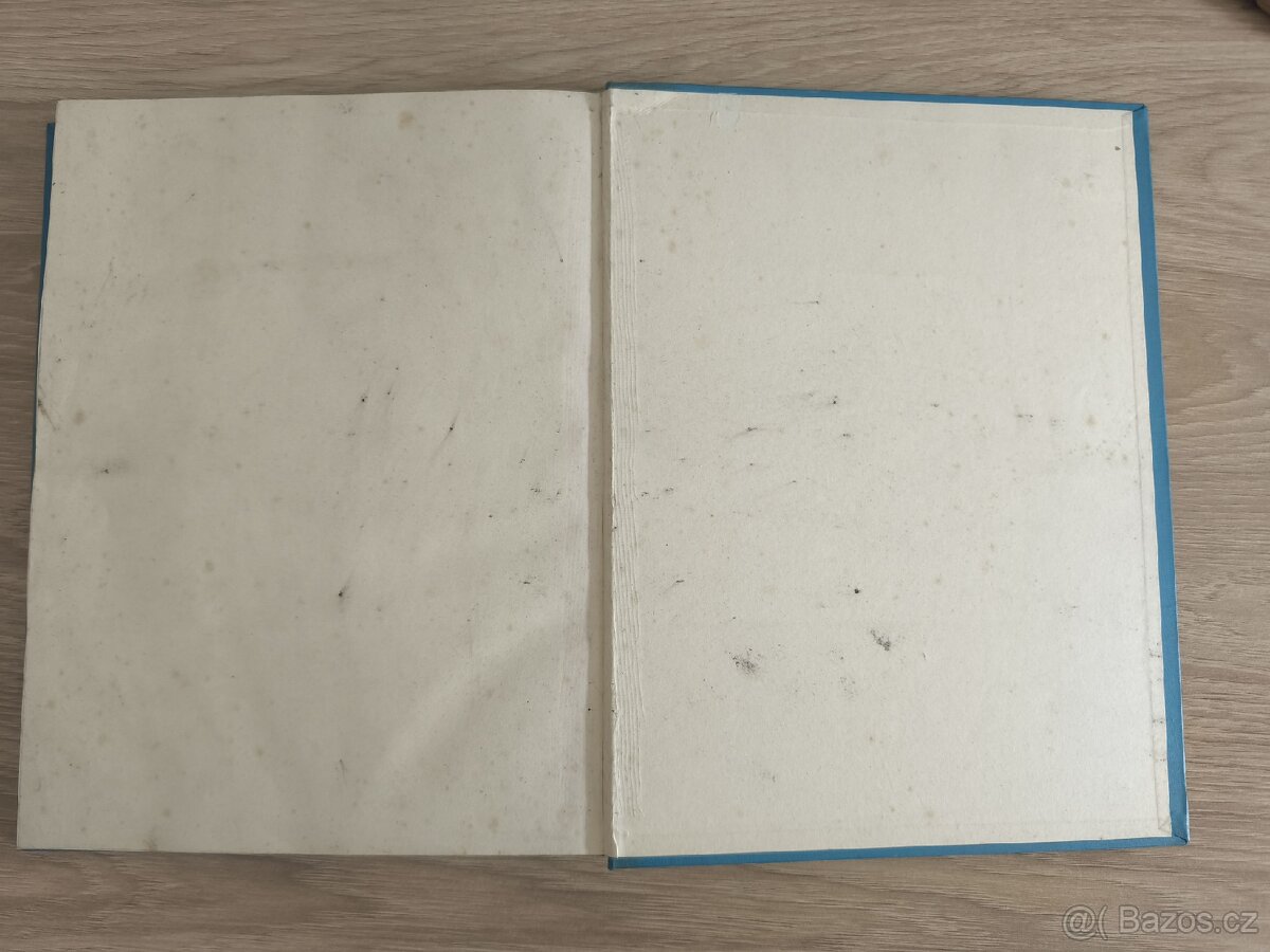 Das Ende Östrerreichs - 4