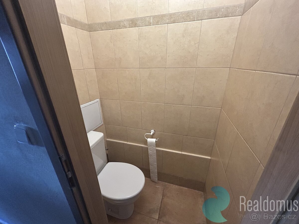 Pronájem bytu 3+1 v Borovanech - 4