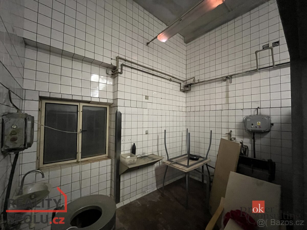Pronájem, komerční/výroba, 180 m2, Vojenice 8, 33808 Kladrub - 4